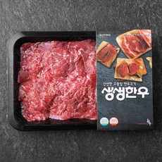 생생한우 1등급 불고기용 (냉장), 300g, 1개 300g × 1개 섬네일