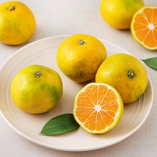당도선별 11brix 감귤 (로열과), 500g(로열과), 1팩