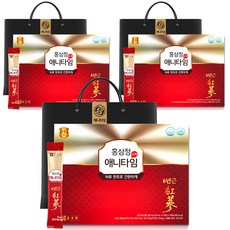 종근당 홍삼정 애니타임 스틱 + 쇼핑백, 10ml, 90개입