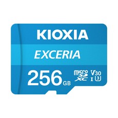 키오시아 EXCERIA 마이크로 메모리 카드 홈캠 블랙박스 CCTV SD LMEX1L256GG2