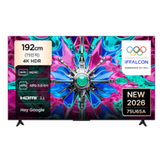 TCL 아이팔콘 4K HDR Google TV, 75U65A, 방문설치, 벽걸이형, 192cm(75인치)