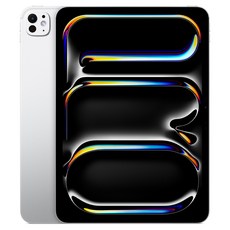 Apple 2025 아이패드 프로 11(M5 모델) Nano-texture 글래스, 실버, 2TB, Wi-Fi