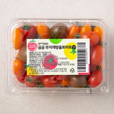 곰곰 무지개방울토마토, 750g, 1팩