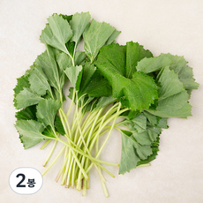 남해 머위, 150g, 2봉 150g, 2봉