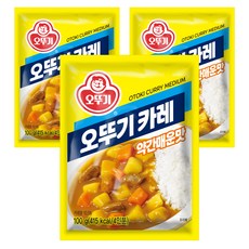 OTTOGI 不倒翁 咖哩粉 微辣, 100g, 3包