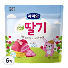 아이얌 순딸기 동결건조 과일칩, 12g, 6개