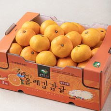 올레길감귤 해풍맞은 올레길 Ai 타이벡 12Brix 감귤 대과, 3kg, 1박스