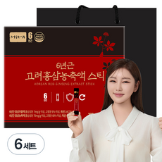 정원삼 6년근 고려홍삼 농축액 스틱 30개입 + 쇼핑백, 300g, 6세트