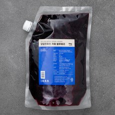 얼리지 않아 살아있는 과육듬뿍 수제과일청 달달프루츠 카페 블루베리, 2kg, 1개