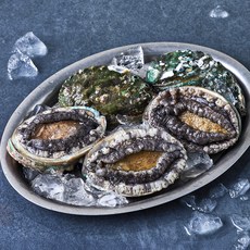완도맘 활전복 (냉장), 500g 내외(특대, 5마리), 1개 1개, 500g 내외(특대, 5마리)