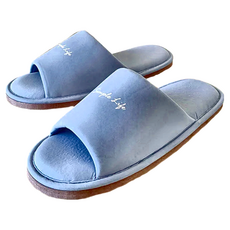i Slippers 台灣犀利趴 冰絲涼感布質家居室內拖鞋 輕活系列 CTC-A7 台灣製造, XL(28.5cm), 北歐冰絲 藍, 1雙