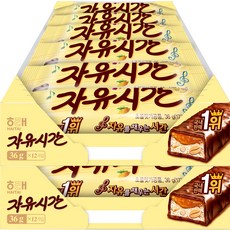 해태제과 자유시간 리얼초코, 36g, 24개 36g, 24개