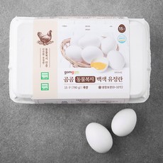 곰곰반숙란