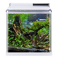 amazon 多合一AMZ-620F, 白色的
