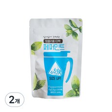 제임스티스푼 텀블러용 티백 페퍼민트, 1.8g, 15개입, 2개