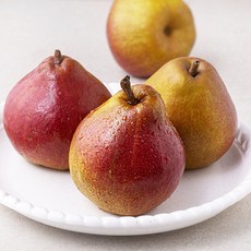 아산 스위트 센세이션 서양 배 4입, 1.2kg, 1팩