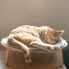 우디스팩토리 냥이마루 고양이 스크래칭해먹, 혼합 색상, 1개