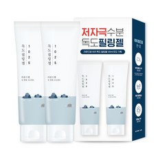 독도스킨