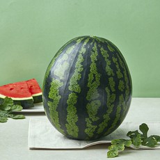 당도선별 11brix 수박, 5kg이상, 1개