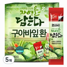 조은약초 자연을 담는다 프리미엄 구아바잎환 스틱, 90g, 5개