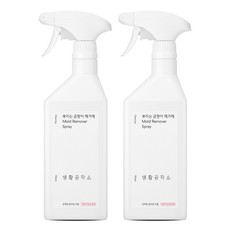 생활공작소 뿌리는 곰팡이 제거제, 750ml, 2개