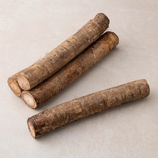 국내산 세척우엉, 500g, 1봉
