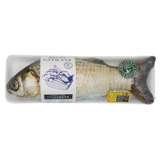 CATWANT 貓咪旺農場 100%貓薄荷大鯉魚, 100%貓薄荷木天蓼填充, 大鯉魚, 1個