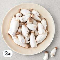 미니 새송이버섯, 300g, 3개