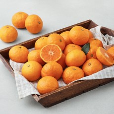 곰곰 고당도 카라향, 1.8kg(M), 1개