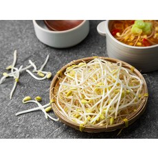곰곰 아삭한 콩나물, 500g, 1봉 - 이미지 2