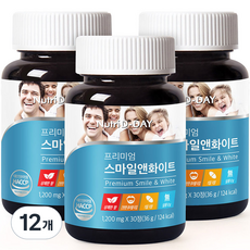 뉴트리디데이 프리미엄 스마일 앤 화이트 츄어블 자일리톨 36g, 30정, 12개