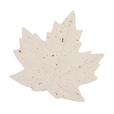 79f3d562-8e99-4f13-ab9f-7fedbc616615.jpg