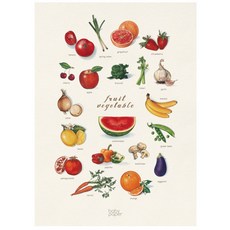 베이비페이퍼 fruits & vegetable 포스터, 혼합색상