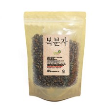 인차 복분자 국산, 200g, 1개, 1개입