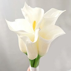 c299294e-7e10-4ce8-99b9-d14414d486db.jpg