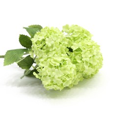 메타몽스노우볼