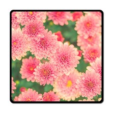 컴퓨터마우스패드