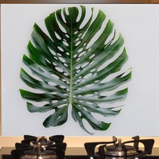 몬스테라아트보드