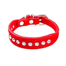 강아지큐빅이어캡