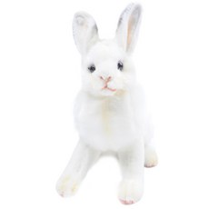 한사토이 5842번 토끼 봉제인형, 15cm, 흰색