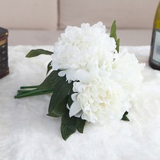 6d70af46-e029-4143-a018-4191f3fca11e.jpg