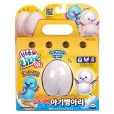 베이비펫아기병아리