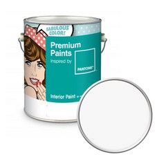 노루페인트 팬톤 내부용 실내 벽면 무광 페인트 4L, 11-4800 Blanc de Blanc, 1개
