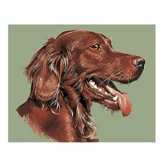 퍼니콘동물도안