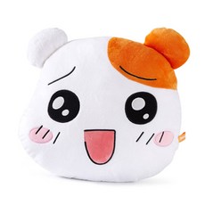 에비츄얼굴쿠션