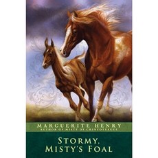 Stormy Misty's Foal Paperback, Aladdin Paperbacks
