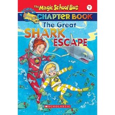 themagicschoolbus