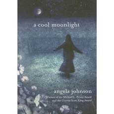 A Cool Moonlight Paperback, Puffin Books