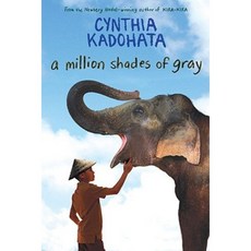 A Million Shades of Gray Paperback, Atheneum Books for Young Readers