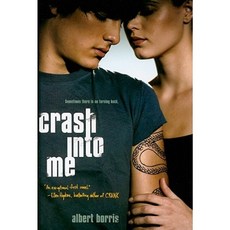 Crash Into Me Hardcover, Simon Pulse